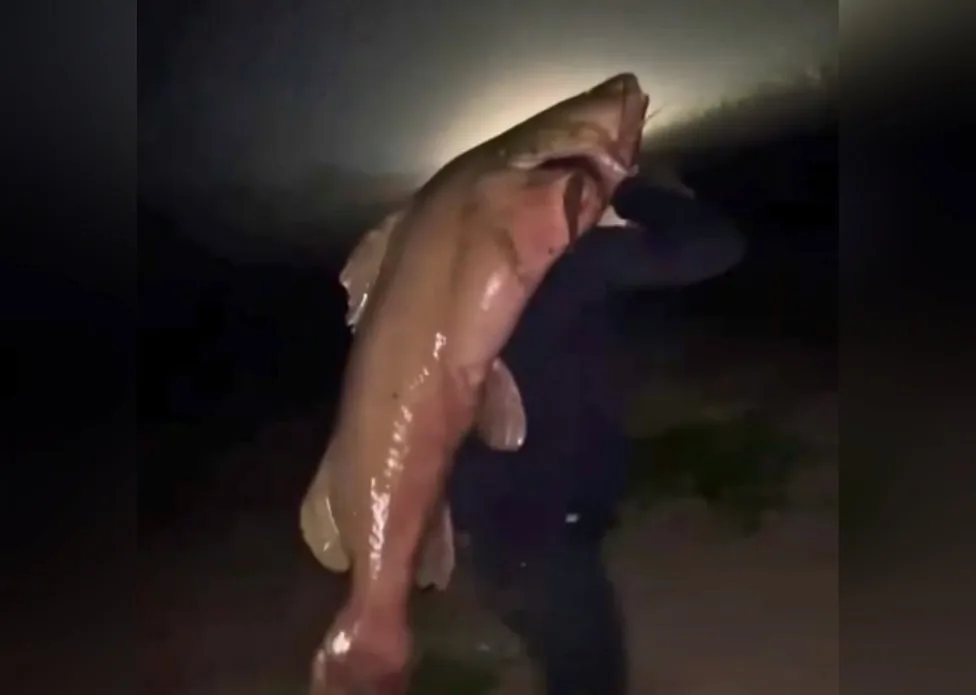 Pescador de Rodrigues Alves pega peixe de 60 quilos