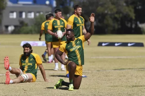 Erasmus: Kolisi brings qualities the Boks cannot easily replace