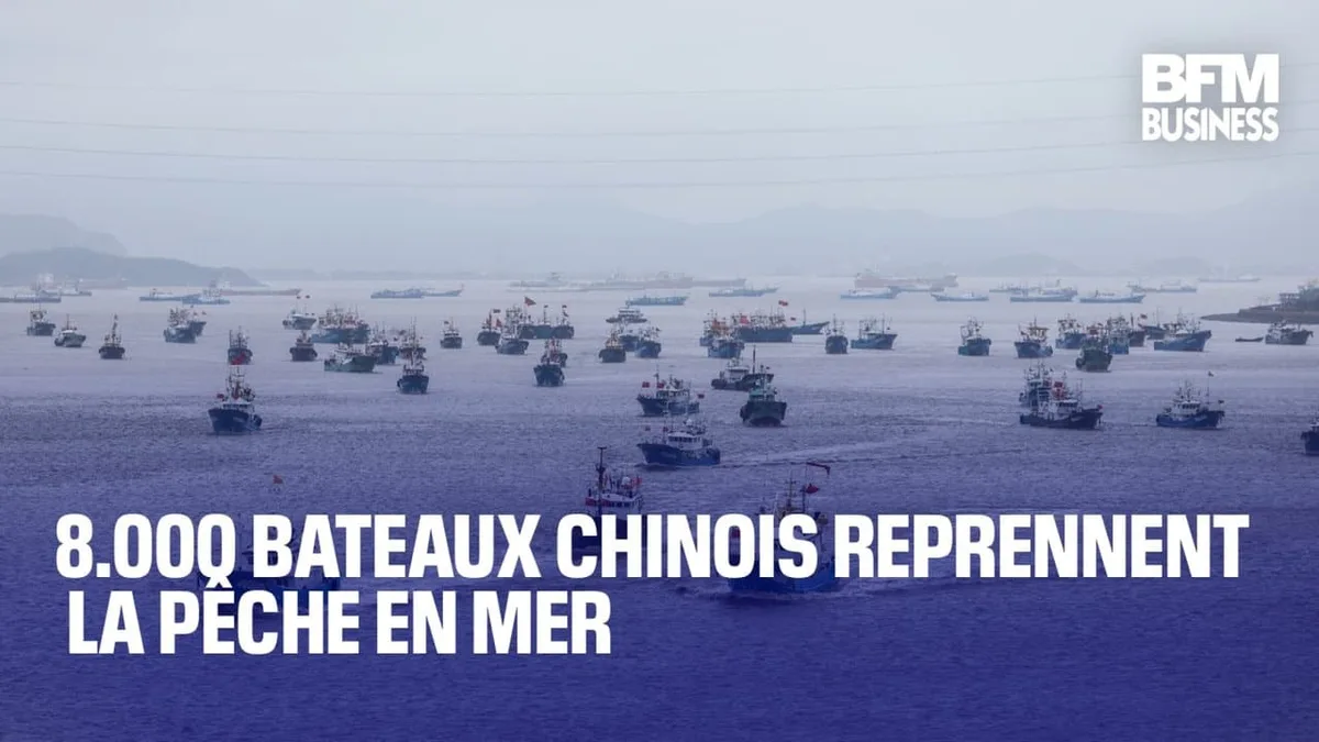 8.000 bateaux chinois reprennent la mer