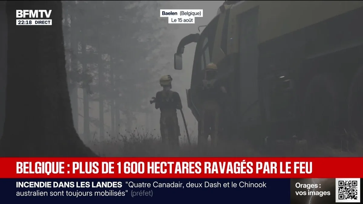 Belgique : plus de 1 600 hectares ravagés par le feu - 15/08