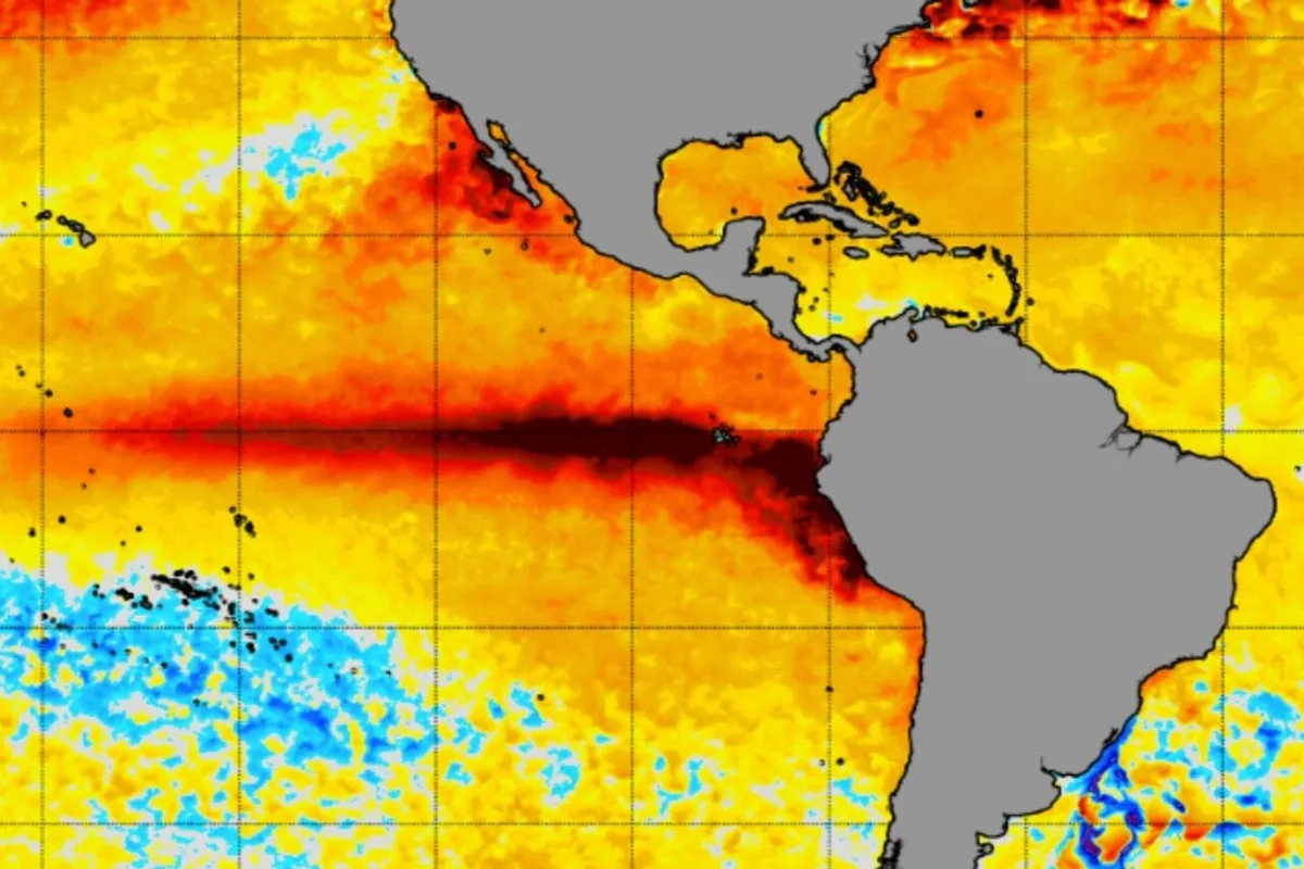 Climate Change Is Supercharging El Niño, 1,000 Years of Coral Data Shows