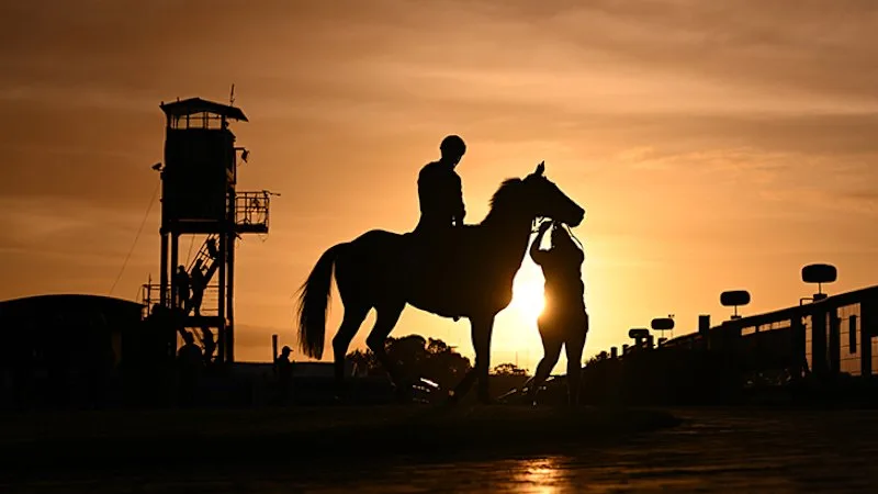 Which horse is expected to win the Caulfield Cup