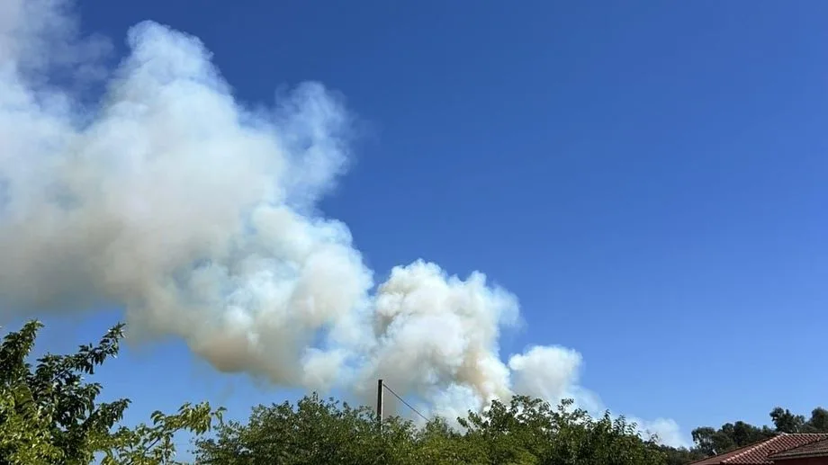 Incendie à Aleria : le feu est fixé, entre 30 et 40 hectares parcourus