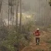 Área ardida até agosto cai 74% face ao ano passado