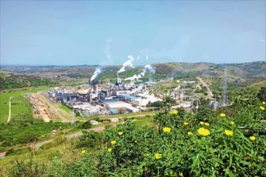 TRACY WESSELS | How women are branching out in the bioeconomy