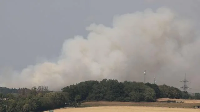 Feuerwehreinsatz: Waldbrand im Saarland: Nachlöscharbeiten dauern an