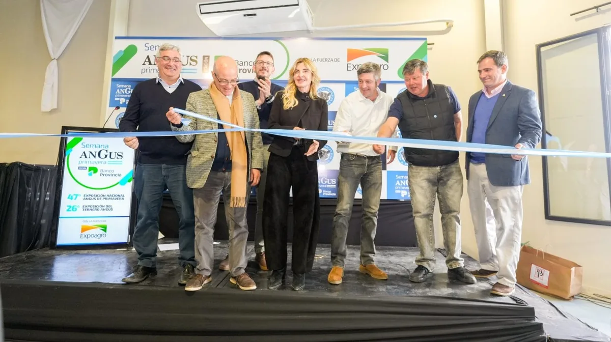 La Semana Angus de Primavera muestra “una ganadería pujante, lista para crecer en producción y calidad”