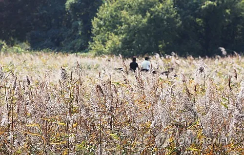 충북 대체로 맑다가 밤부터 흐려져…낮 최고 23∼25도