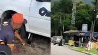 Vira-lata caramelo é promovida por batalhão e se torna “Cabo” da PM no Reci