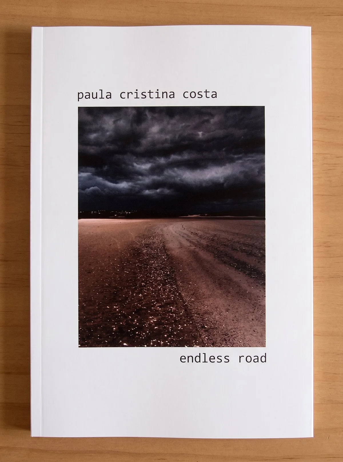 Paula Cristina Costa ou figurações do poema