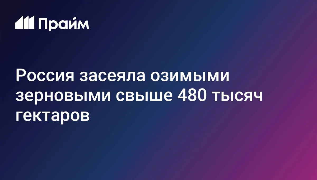 Россия засеяла озимыми зерновыми свыше 480 тысяч гектаров