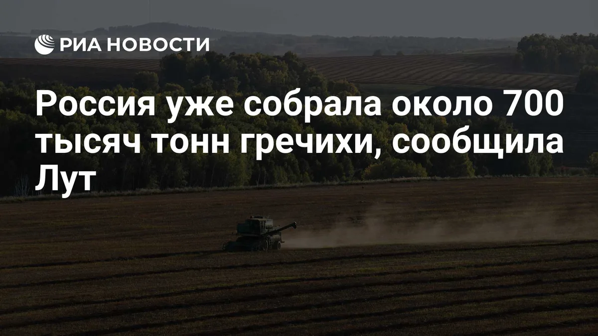 Россия уже собрала около 700 тысяч тонн гречихи, сообщила Лут