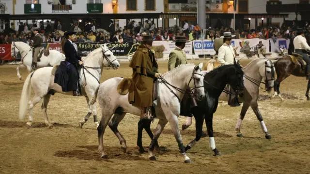 Feira da Golegã é reconhecida como Património Cultural Imaterial
