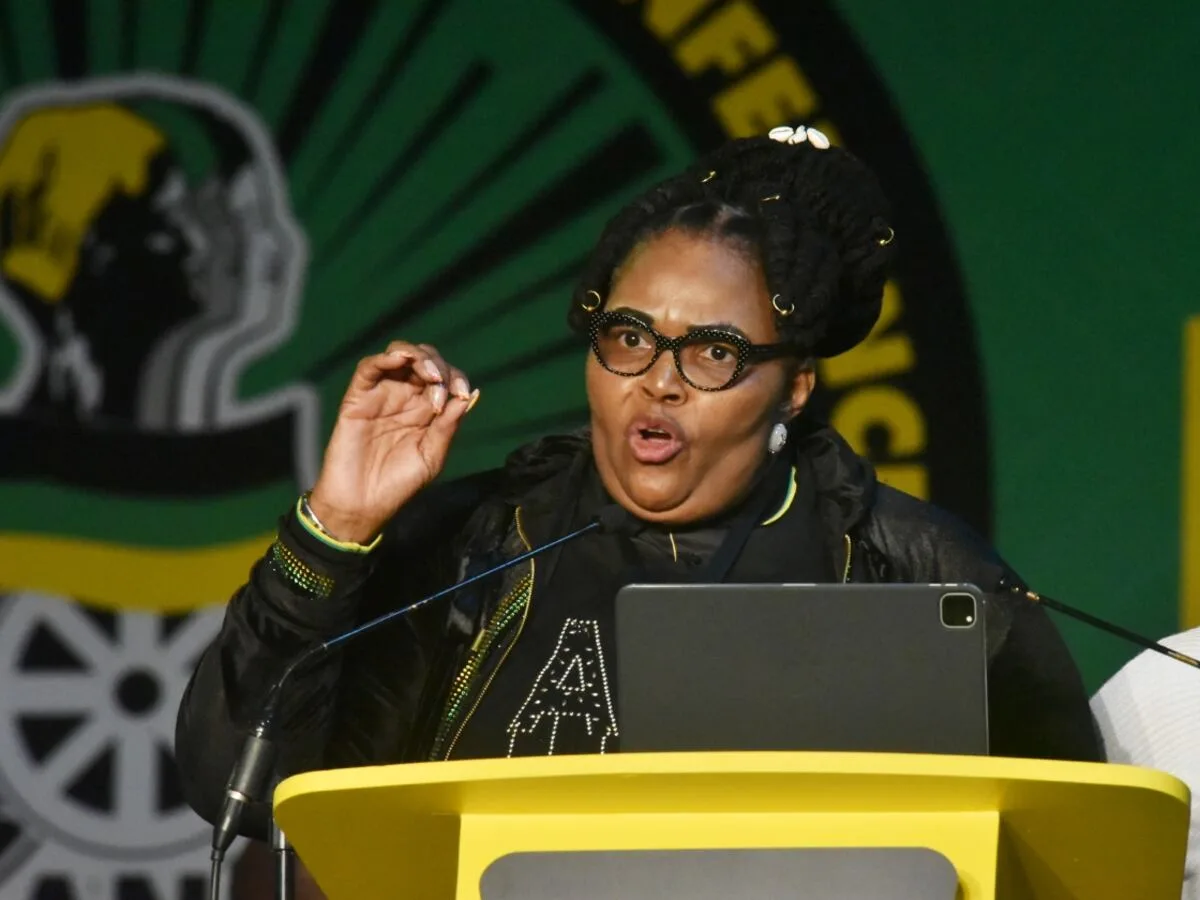ANC condemns Majodina’s vulgar spat, saying it has ‘no appetite’ for bad tempers