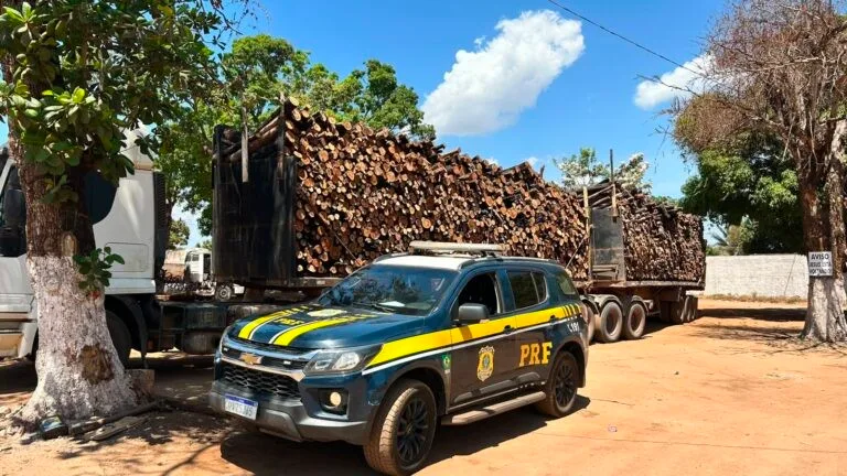 PRF apreende mais de 192 m³ de madeira transportada sem documentação no sudeste do Pará
