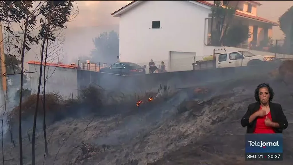 Proteção Civil alerta para perigo de incêndio em todo o país