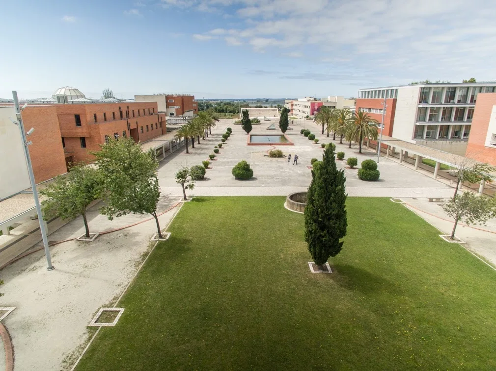 Universidade de Aveiro esgota 95,7% das vagas na fase inicial
