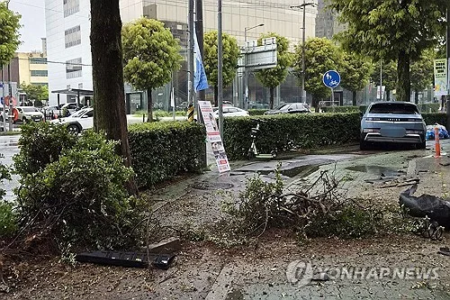 日, 고령자 운전 실기시험 대폭 강화…페달 오작동 검증