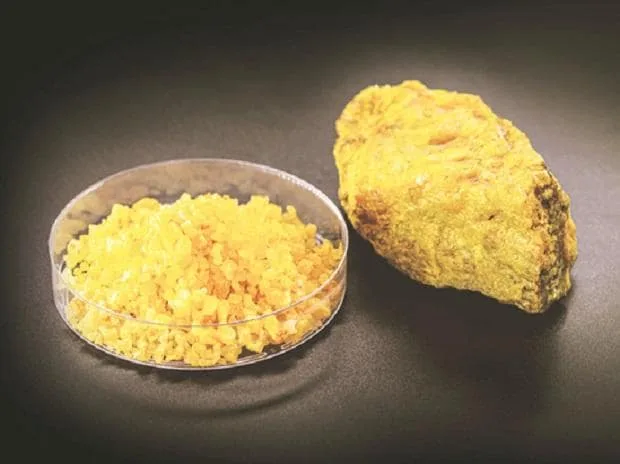 Meghalaya Assembly passes resolution against exploration, mining of uranium