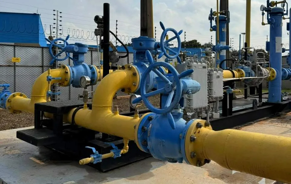 MSGás pretende antecipar em 2 meses entrega de gasoduto para fábrica da Arauco