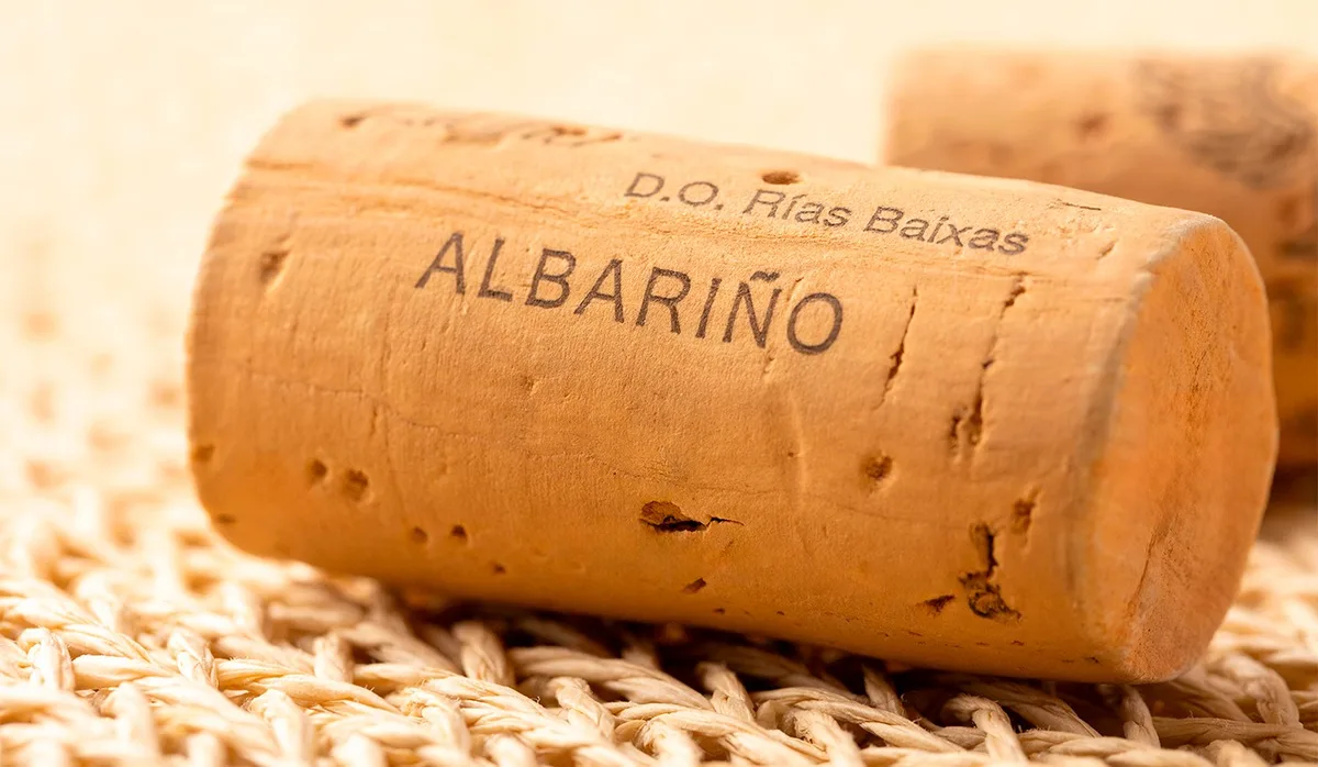 Vinhos brancos de Rías Baixas: por que vale a pena provar essas delícias
