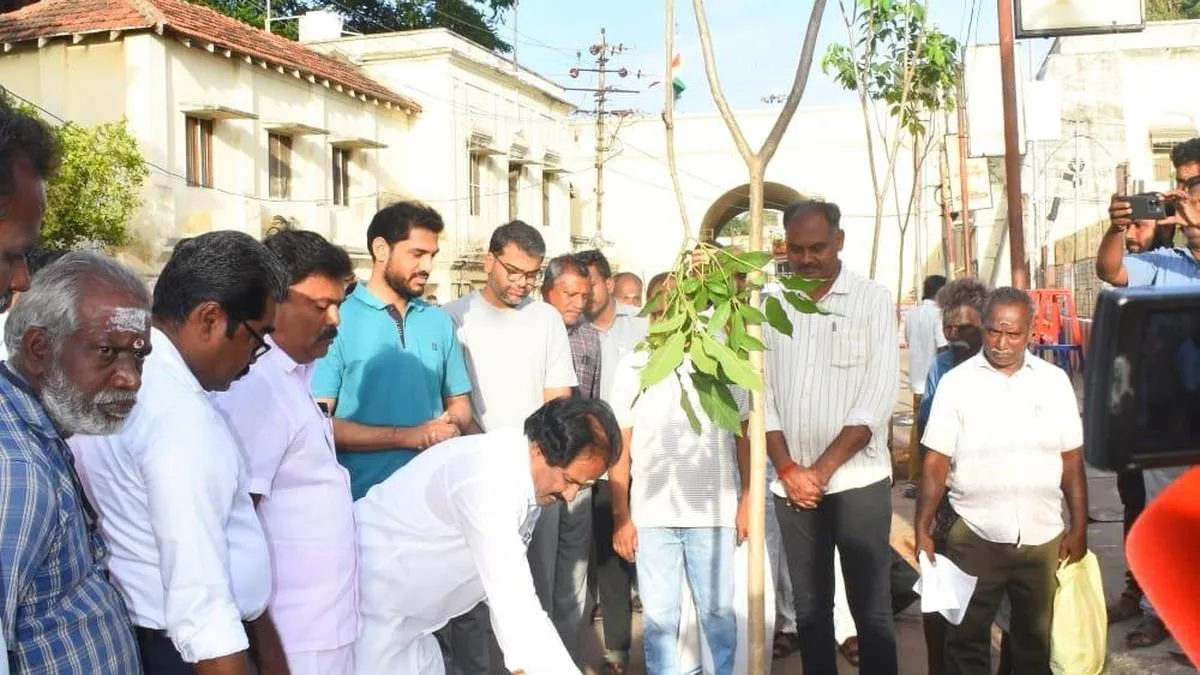 Sapling plantation drive launched at Teppakulam