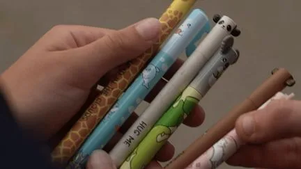 Rentrée scolaire : les stylos à tête d'animaux, les nouvelles coqueluches des enfants