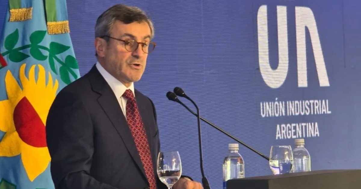 Mensaje de la UIA a Milei: "La industria está poniendo el hombro; hay que terminar con las descalificaciones"