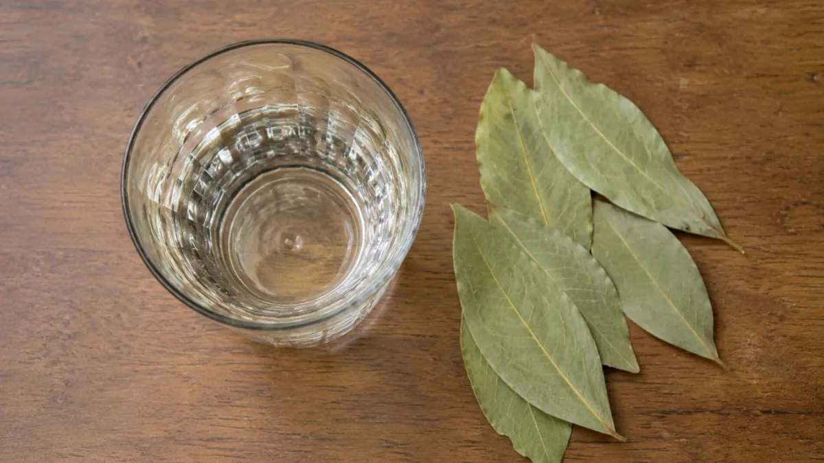 Mezclar hojas de laurel con medio vaso de vinagre blanco: ¿para qué sirve y por qué se recomienda?