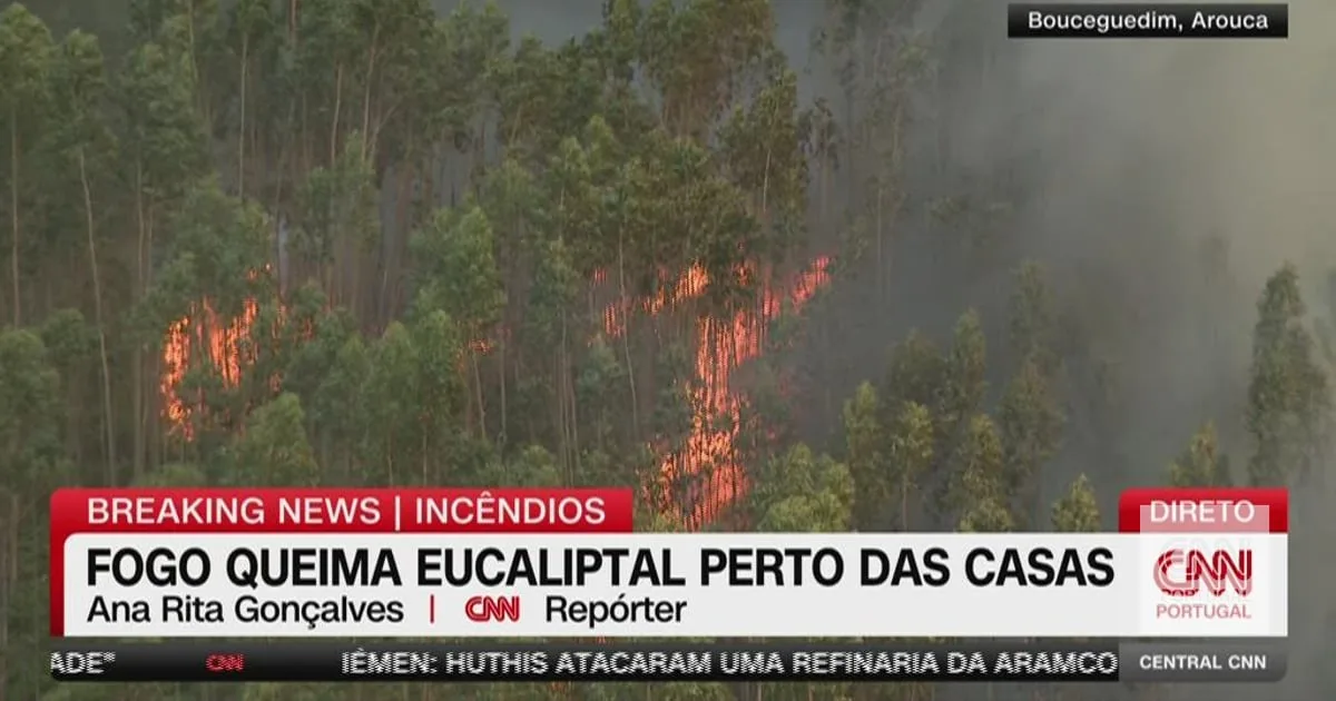 Chamas consomem eucaliptal perto de habitações em Arouca
