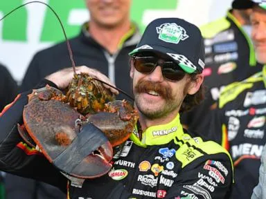 As NASCAR begins another title Chase, a look at the contenders and pretenders in the 16-man field