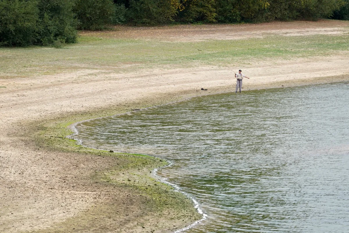 Rain in coming days will not solve drought overnight – forecaster