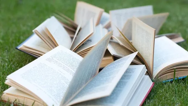 Sachbuch-Bestenliste: Die Sachbuch-Bestenliste für September 2026