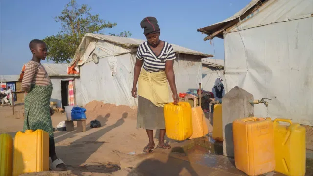 Angola prepara projeto Nature4Health para prevenir pandemias