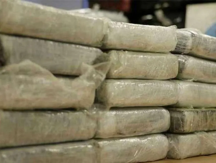 GNB incauta 430 kg de drogas en Mérida