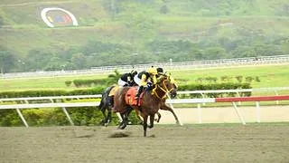 Nieto de legendario campeón estadounidense reaparece en La Rinconada