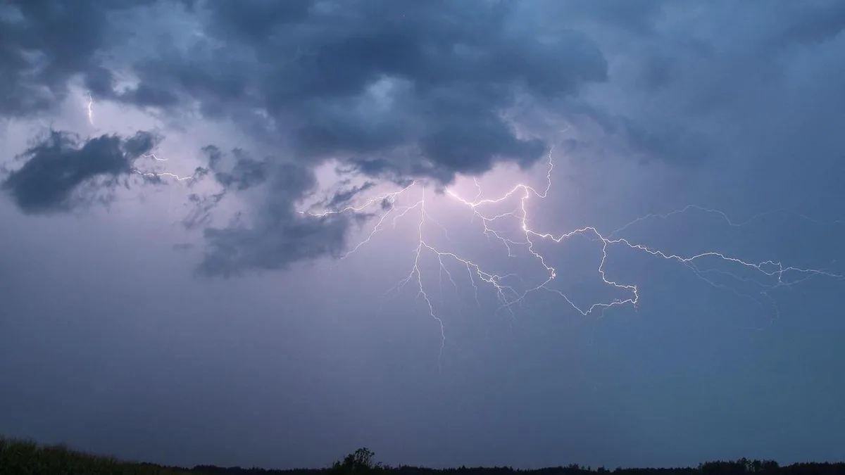 Wettervorhersage: Endlich nass: Gewitter und Regen bestimmen das Wetter