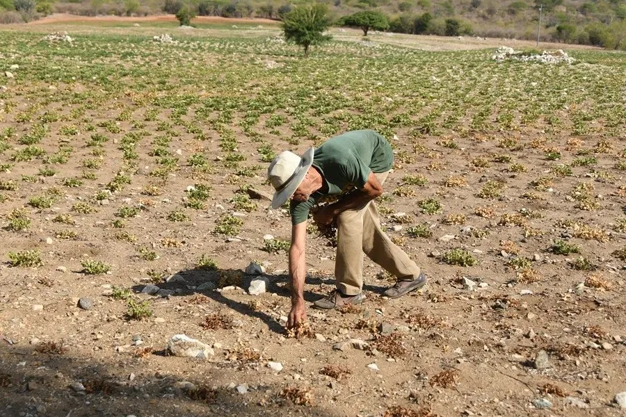 Evento extremo de El Niño causaría pérdida de al menos 2 % del PIB regional, según CEPAL