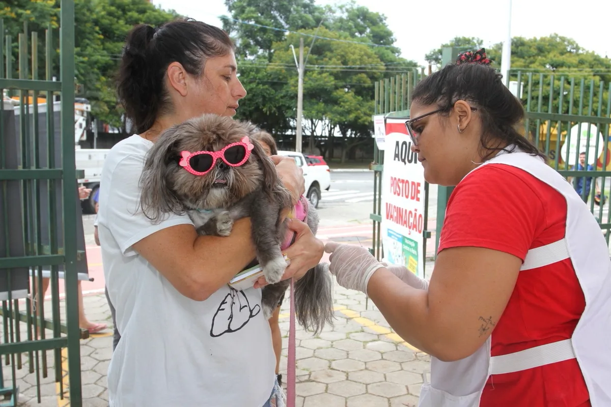 Cães e gatos recebem vacinação emergencial após caso de raiva em morcego em Belém