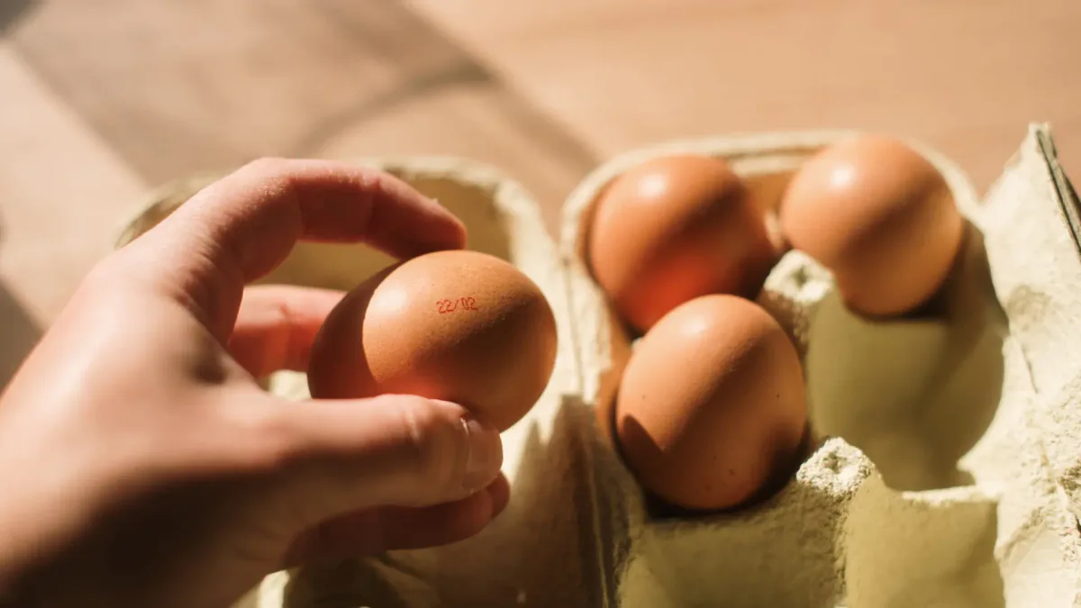 Trece intoxicados en Vitoria tras consumir huevos contaminados con salmonela