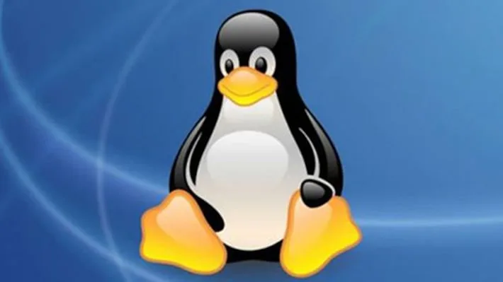 Falha histórica no kernel do Linux permite escalada de privilégios a invasores