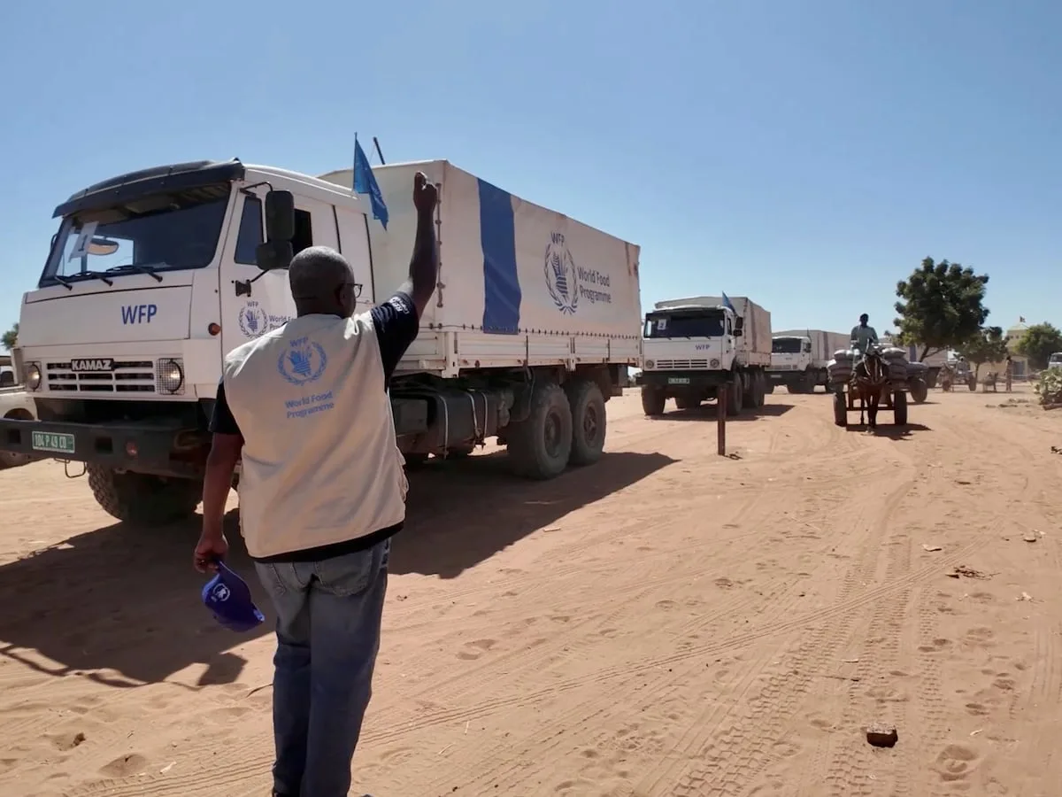 World Food Programme funding for Sudan plummets as more go hungry, head says