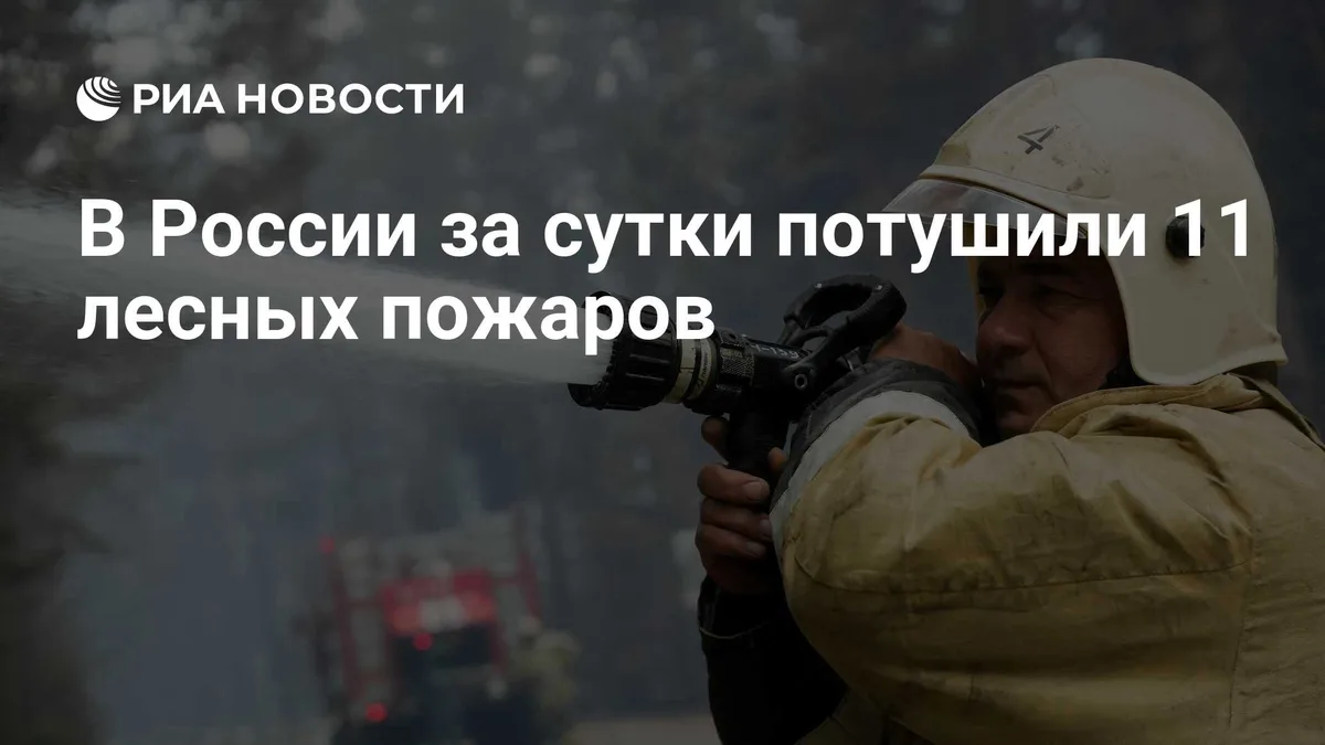 В России за сутки потушили 11 лесных пожаров