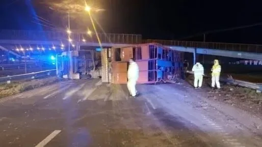 Volcó un camión con ganado en Rosario: varias vacas escaparon y cinco hombres fueron detenidos por intentar robarlas