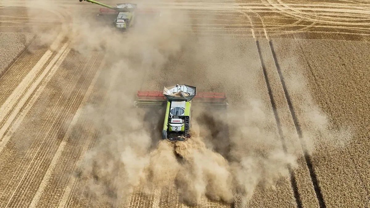 Landwirtschaft: Getreide und Winterraps: Landwirte mit schlechter Ernte