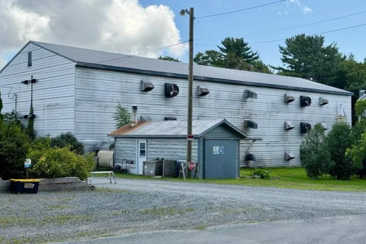 Faulty extension cord blamed for N.S. fire that killed 10K chickens