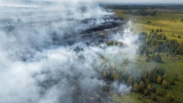 Großbrand: Feuer im Hohen Venn mit Brandgeruch bis Köln