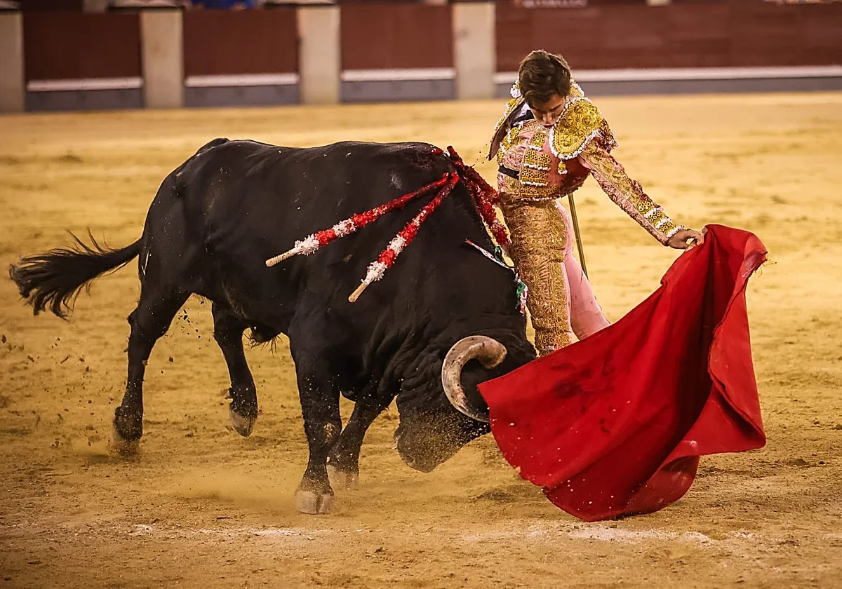 El gozo de querer ver embestir setecientos veinte kilos… en un pozo