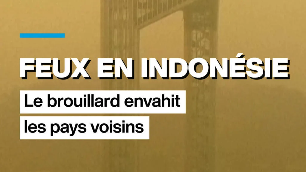 Feux en Indonésie : le brouillard envahit les pays voisins