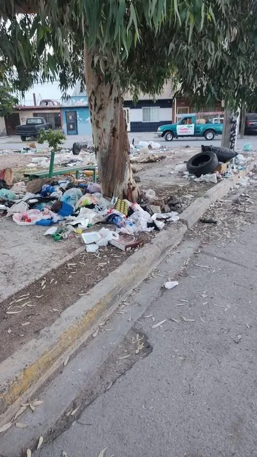 Exhortan en Torreón a reportar tiraderos ilegales en sectores residenciales